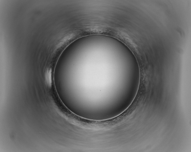 X0000112110020200908041551