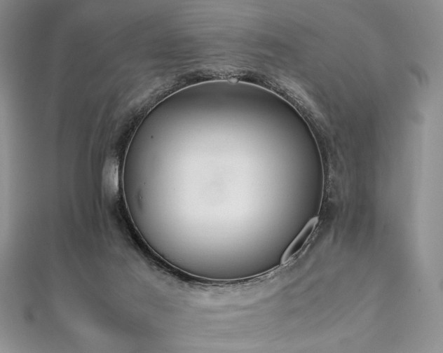 X0000112110021200908041551