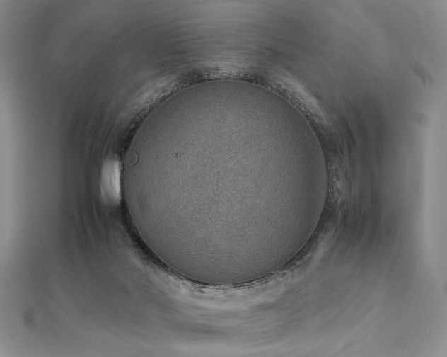 X0000112110022200908041551