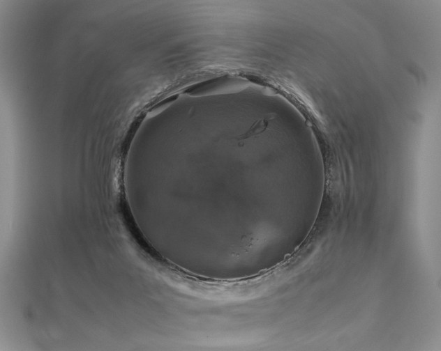 X0000112110023200908041551