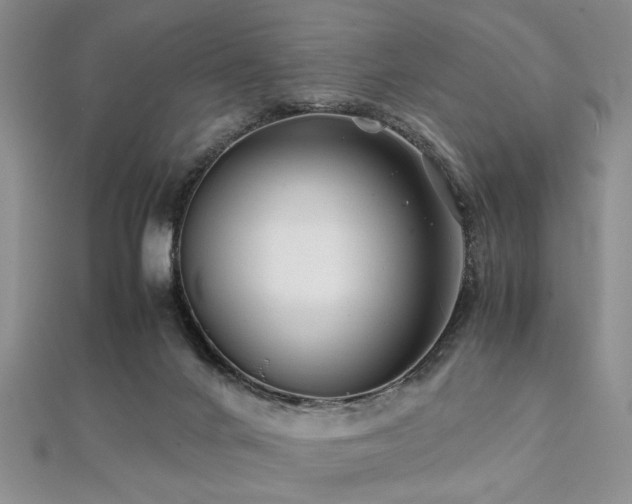 X0000112110024200908041551