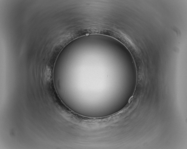 X0000112110025200908041551