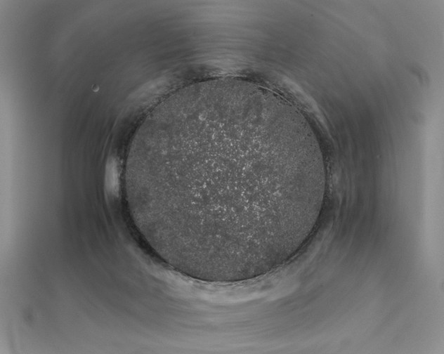 X0000112110026200908041551