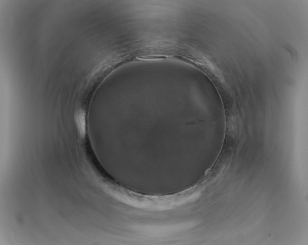 X0000112110027200908041551