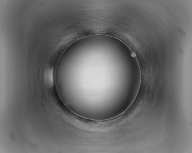 X0000112110028200908041551