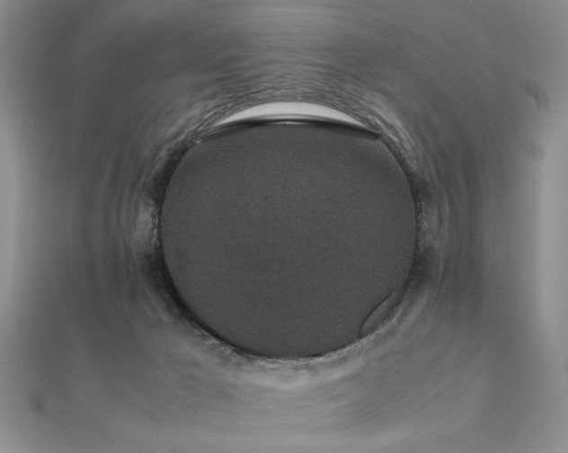 X0000112110029200908041551