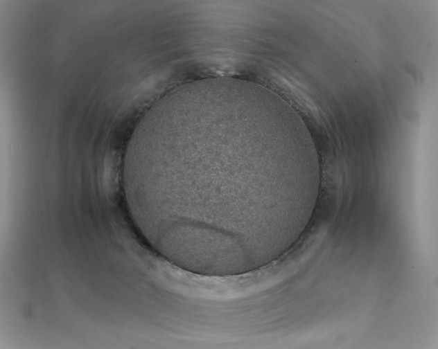 X0000112110030200908041551