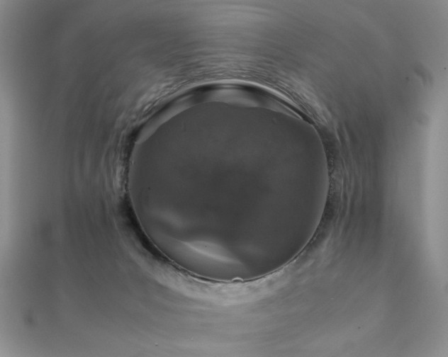 X0000112110031200908041551