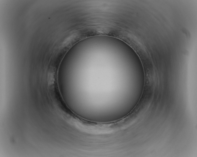 X0000112110032200908041551