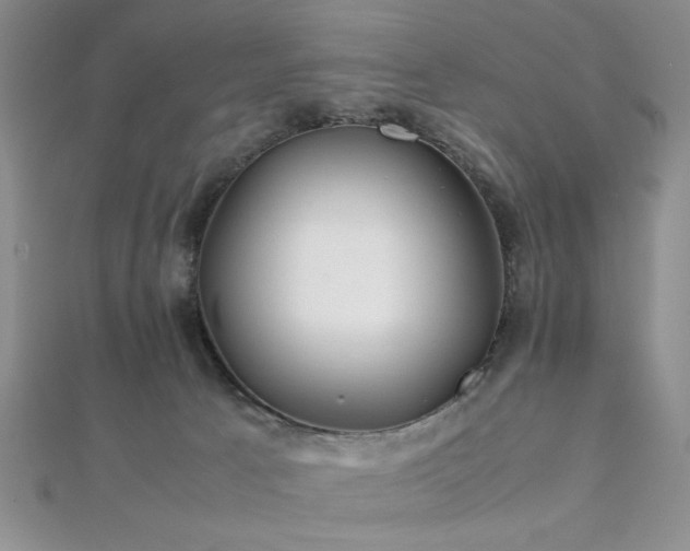 X0000112110033200908041551