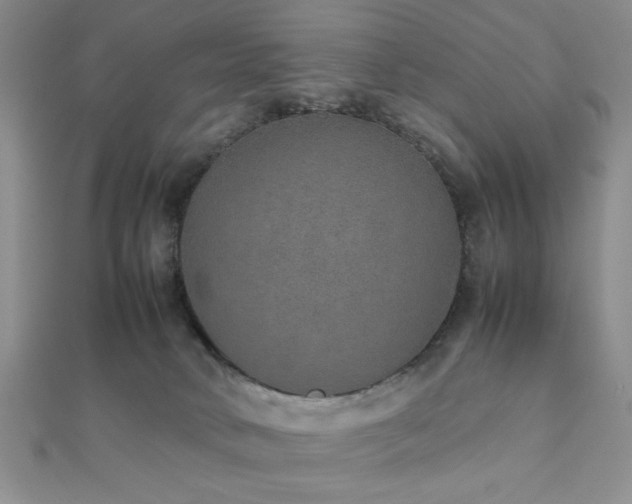 X0000112110034200908041551