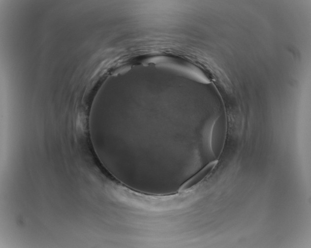 X0000112110035200908041551