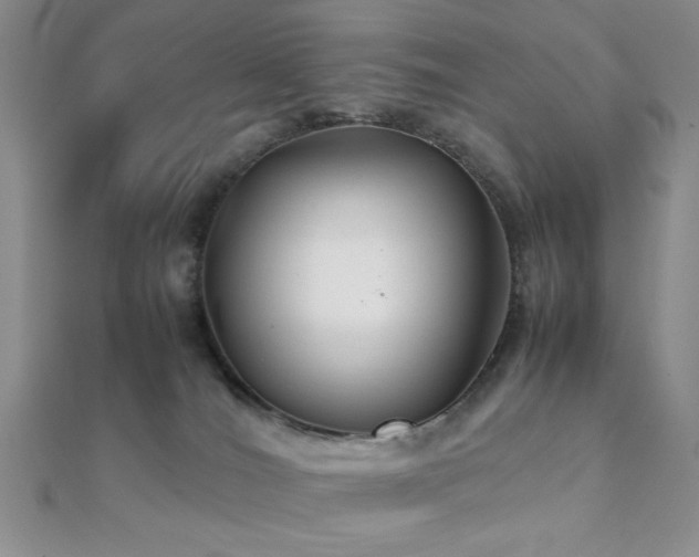 X0000112110036200908041551