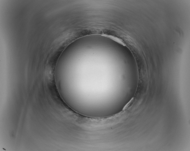 X0000112110037200908041551