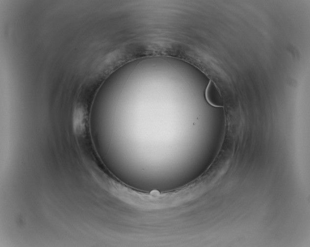 X0000112110038200908041551