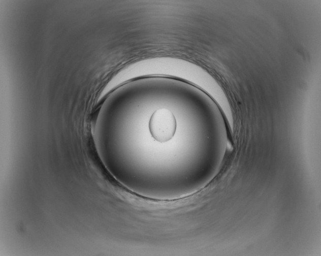 X0000112110039200908041550