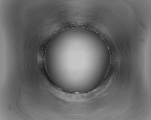 X0000112110040200908041550