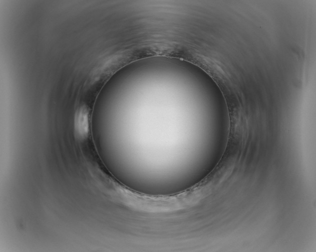 X0000112110042200908041550