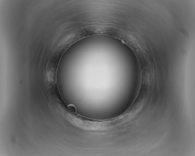 X0000112110044200908041550