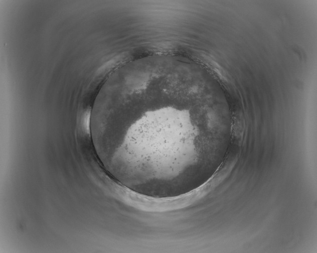 X0000112110047200908041550