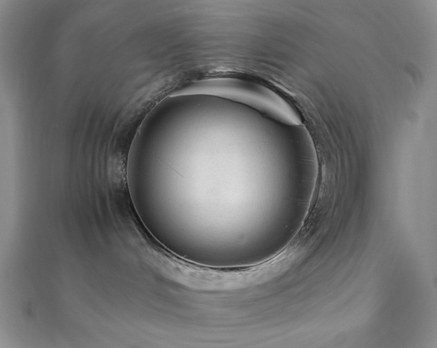 X0000112110048200908041550