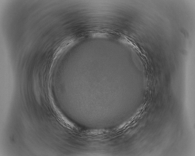 X0000112110049200908041549