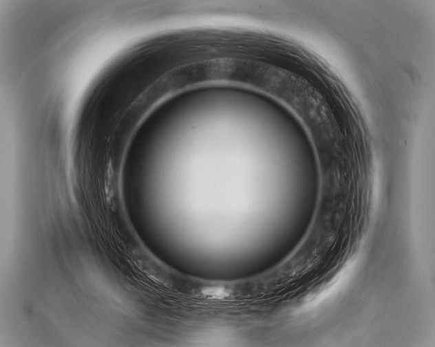 X0000112110050200908041549