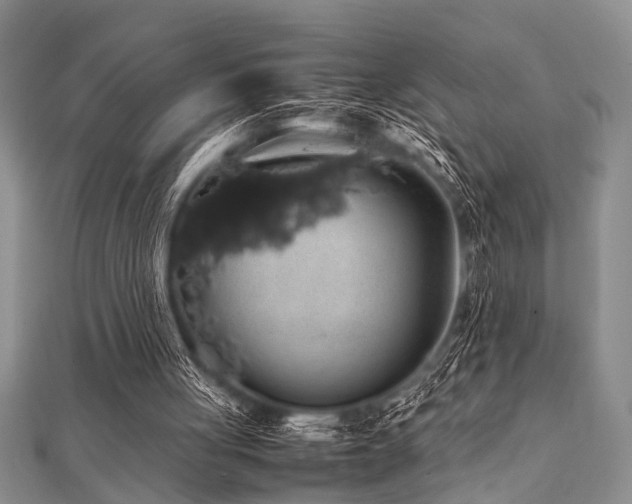 X0000112110051200908041549