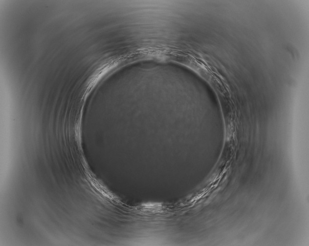 X0000112110052200908041549