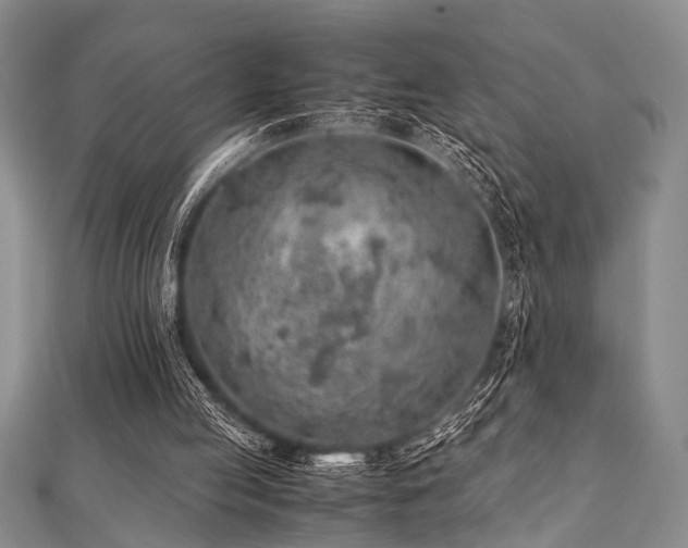 X0000112110053200908041549