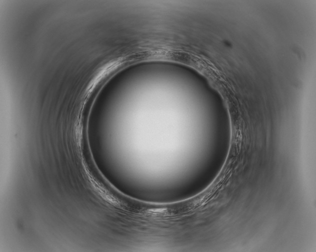 X0000112110054200908041549