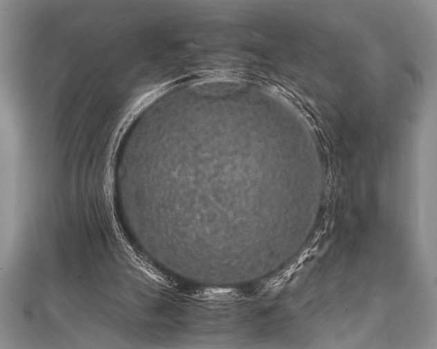 X0000112110055200908041549