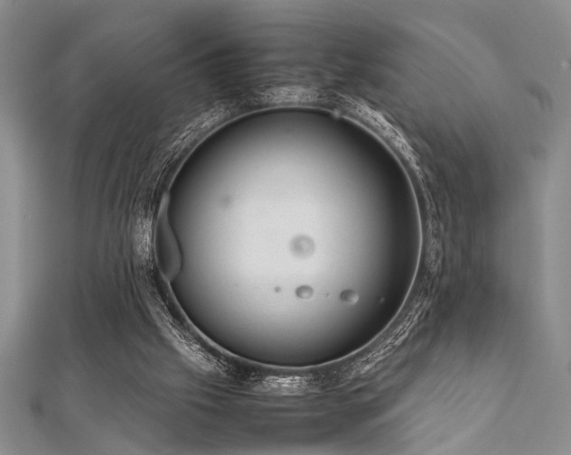 X0000112110057200908041550