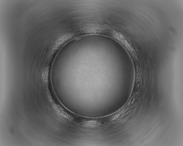 X0000112110058200908041550