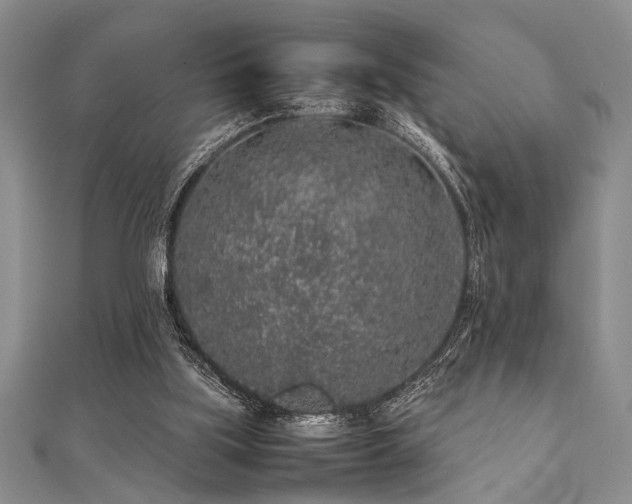 X0000112110059200908041550