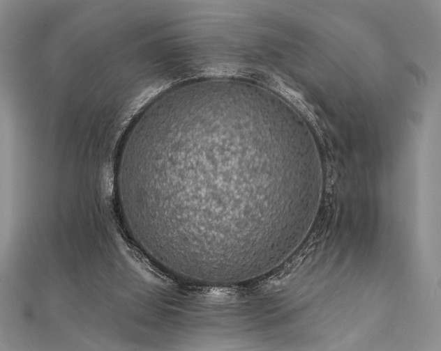 X0000112110060200908041550