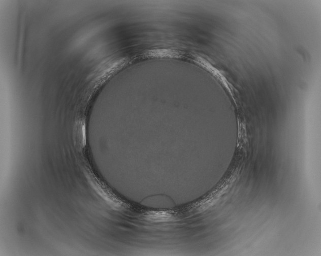 X0000112110061200908041550