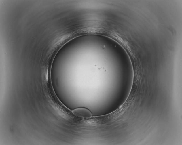 X0000112110062200908041550