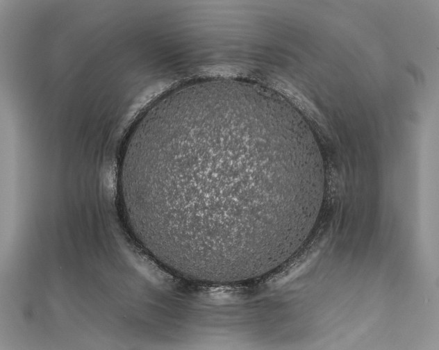 X0000112110064200908041550