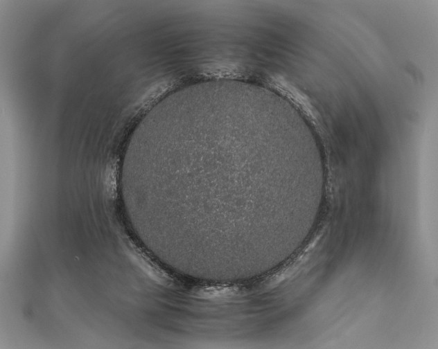 X0000112110065200908041550