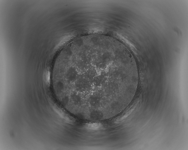 X0000112110067200908041550