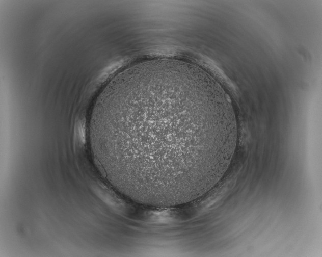 X0000112110068200908041550