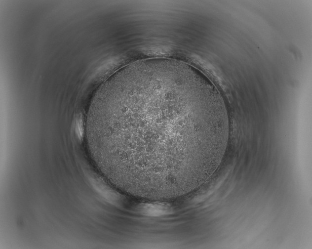 X0000112110069200908041550