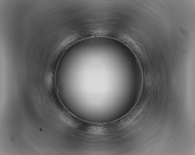 X0000112110071200908041550