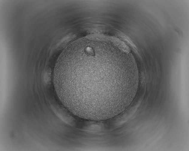 X0000112110073200908041550