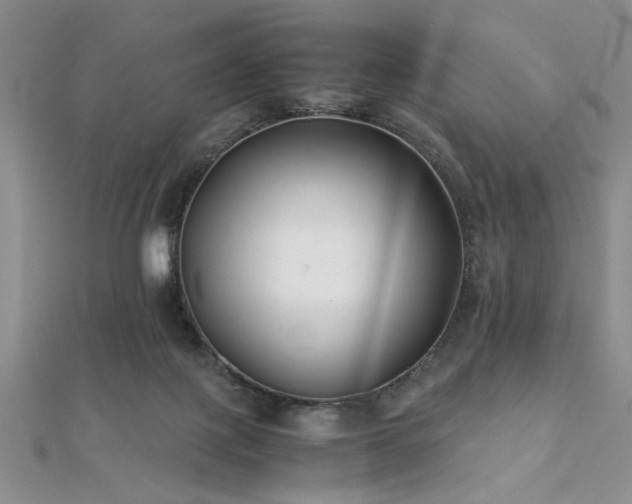 X0000112110075200908041550