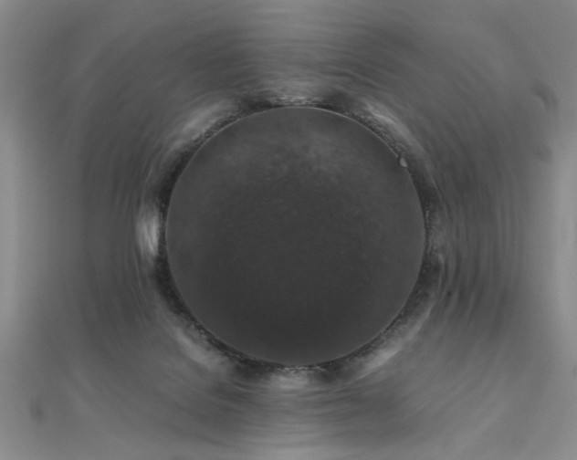 X0000112110076200908041550