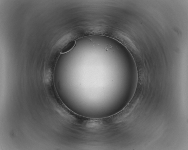 X0000112110077200908041550