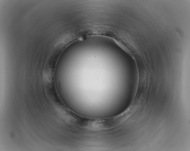 X0000112110078200908041550