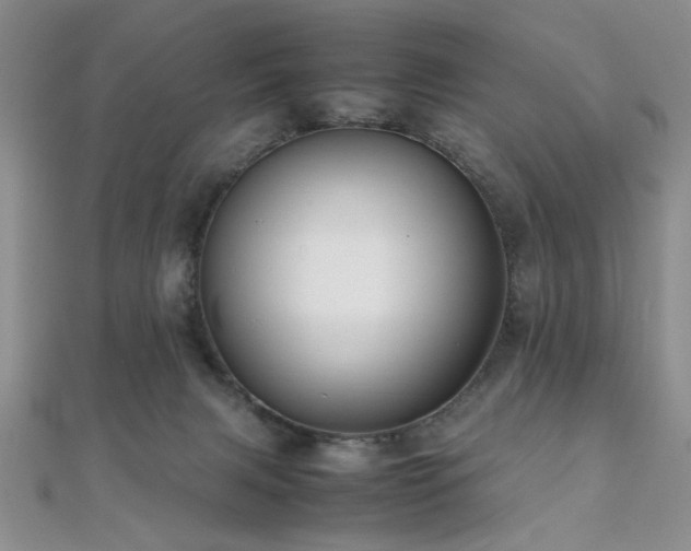 X0000112110079200908041550